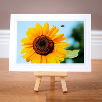 Greeting Card - Summer - Sunflower