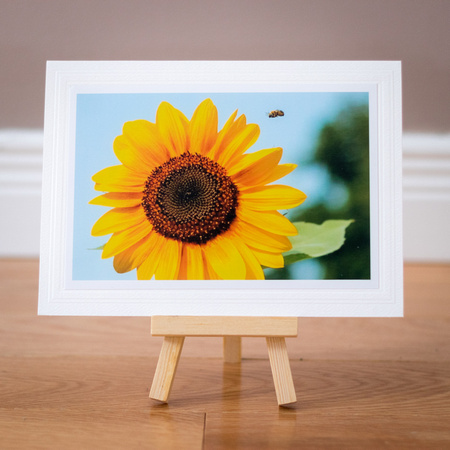 Greeting Card - Summer - Sunflower